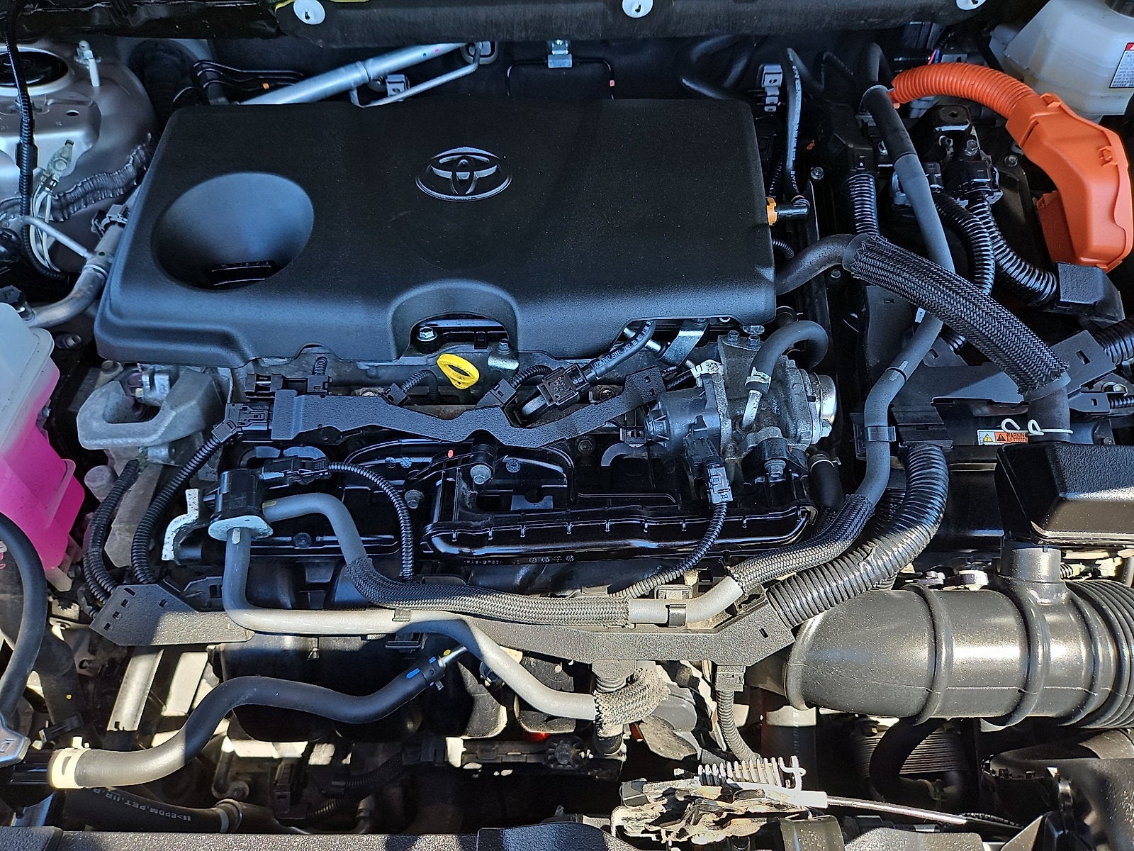 2024 Toyota Venza LE