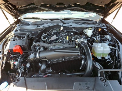 2026 Ford Mustang EcoBoost Fastback