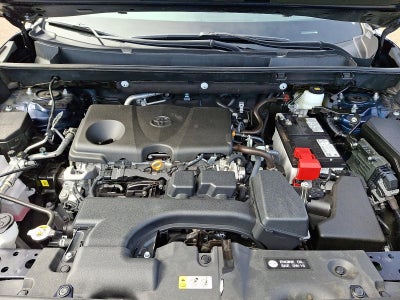 2025 Toyota RAV4 XLE Premium AWD (Natl)