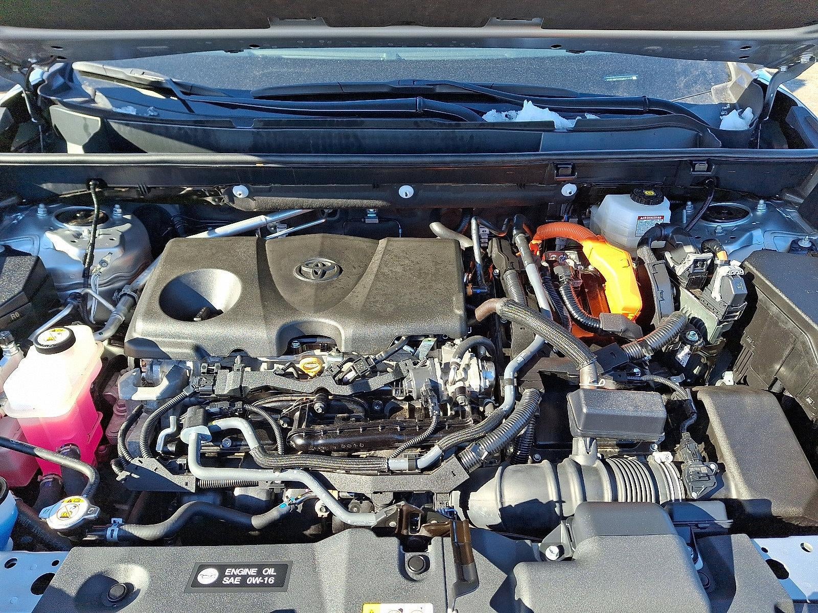 2024 Toyota RAV4 Hybrid XSE AWD (Natl)