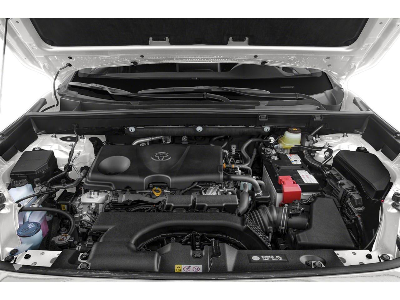 2019 Toyota RAV4 LE AWD (Natl)