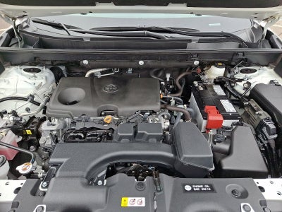 2025 Toyota RAV4 LE AWD (Natl)