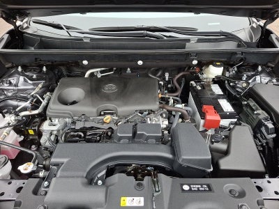 2025 Toyota RAV4 LE AWD (Natl)