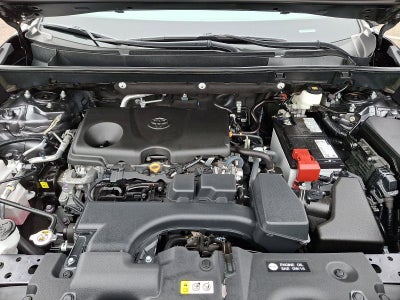 2023 Toyota RAV4 LE AWD (Natl)