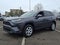 2023 Toyota RAV4 LE AWD (Natl)