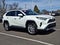 2019 Toyota RAV4 Limited AWD (Natl)