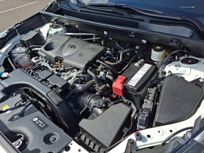 2019 Toyota RAV4 Limited AWD (Natl)