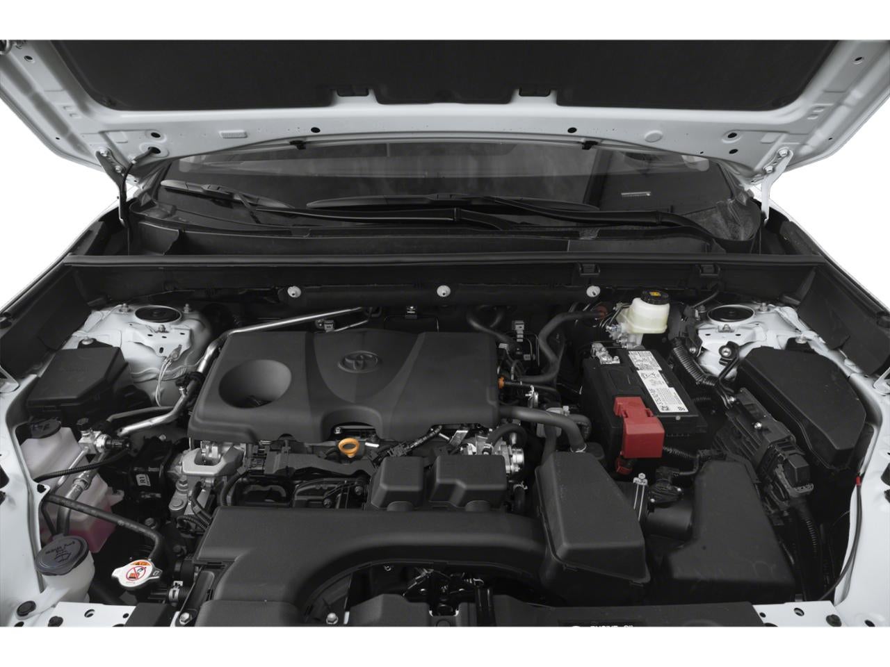 2024 Toyota RAV4 Limited AWD (Natl)