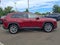 2025 Toyota RAV4 Limited AWD (GS)