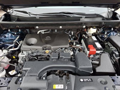 2025 Toyota RAV4 XLE AWD (Natl)