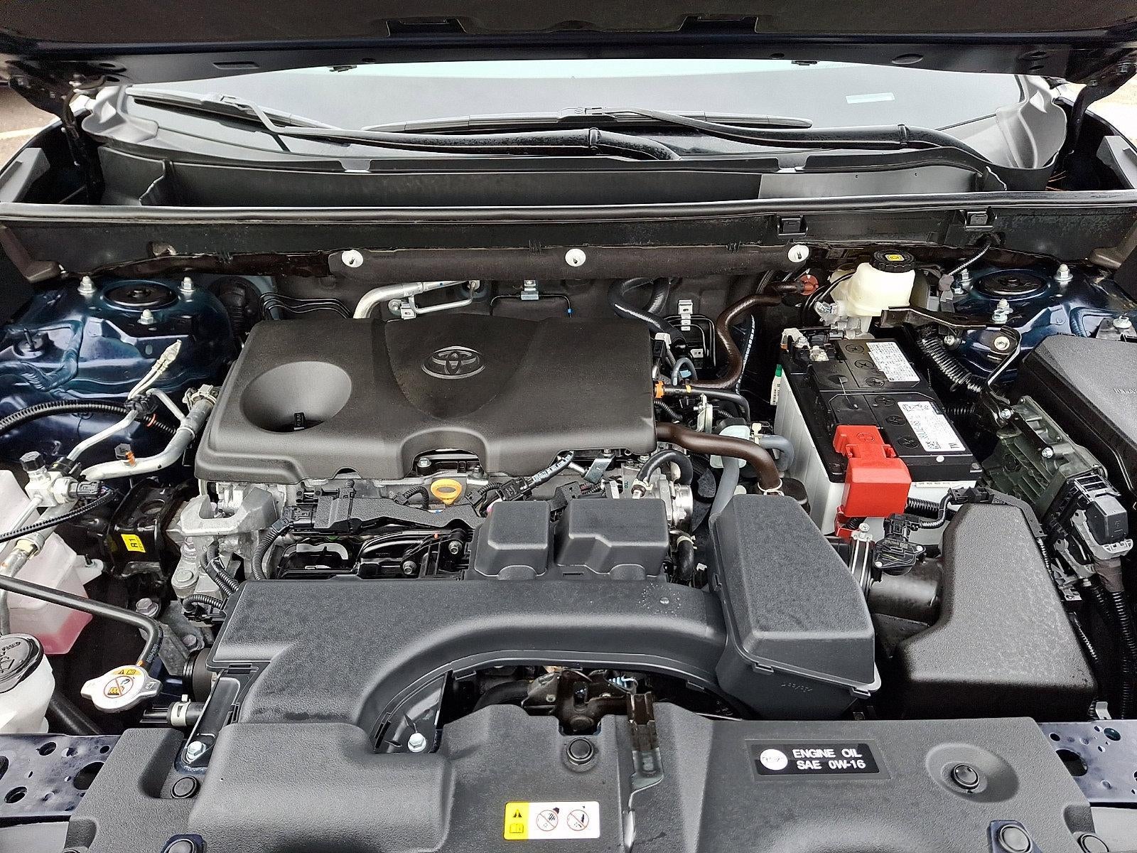 2025 Toyota RAV4 XLE AWD (Natl)