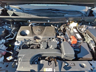 2025 Toyota RAV4 XLE AWD (Natl)