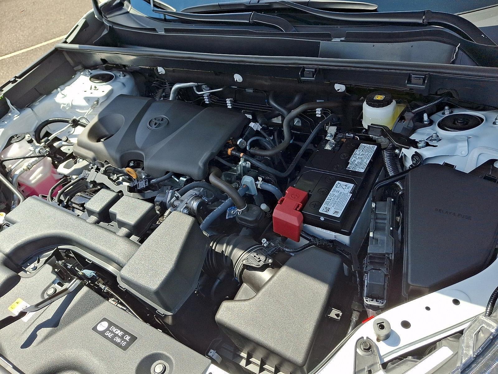 2025 Toyota RAV4 XLE AWD (Natl)