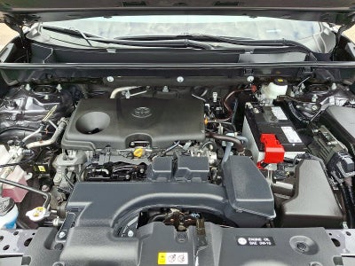 2024 Toyota RAV4 XLE AWD (Natl)