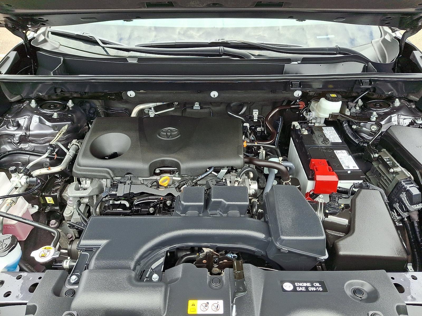2024 Toyota RAV4 XLE AWD (Natl)