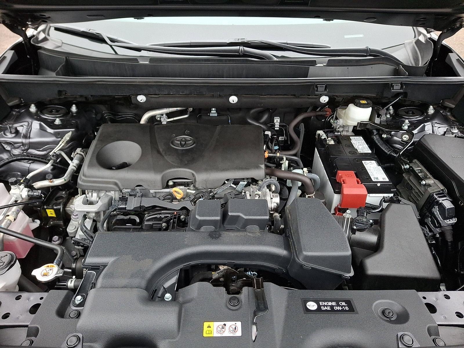 2025 Toyota RAV4 XLE AWD (Natl)