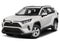 2020 Toyota RAV4 XLE AWD (Natl)