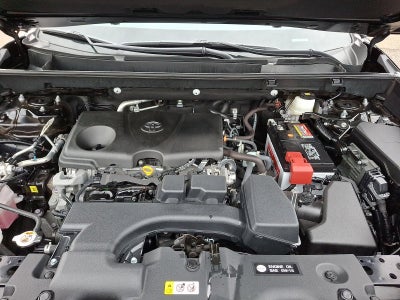 2025 Toyota RAV4 XLE AWD (Natl)