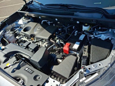 2025 Toyota RAV4 XLE AWD (Natl)