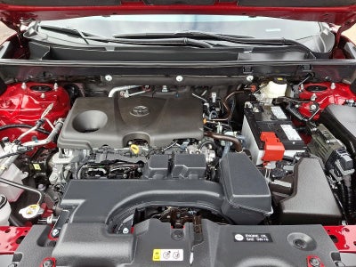 2025 Toyota RAV4 XLE AWD (Natl)