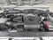 2020 Toyota Tacoma 4WD 4WD TRD Sport Double Cab 5' Bed V6 AT (Natl)