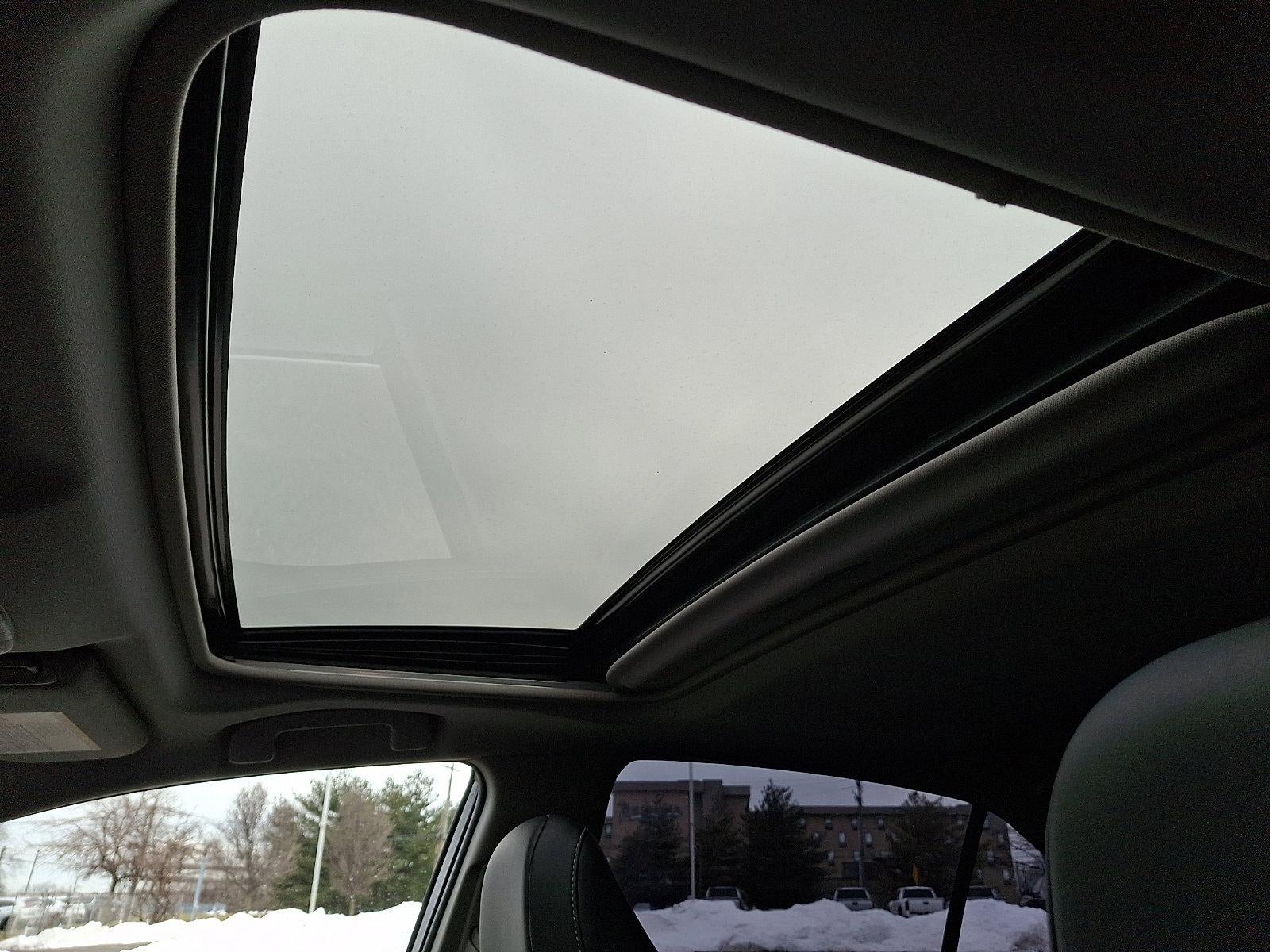 2023 Toyota Camry SE Auto (Natl)