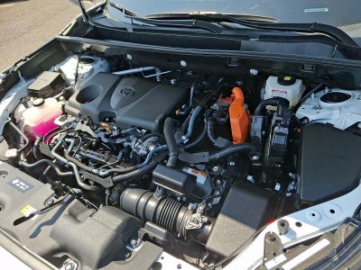 2025 Toyota RAV4 Hybrid XLE AWD (Natl)