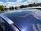 2025 Toyota Grand Highlander Limited AWD (Natl)