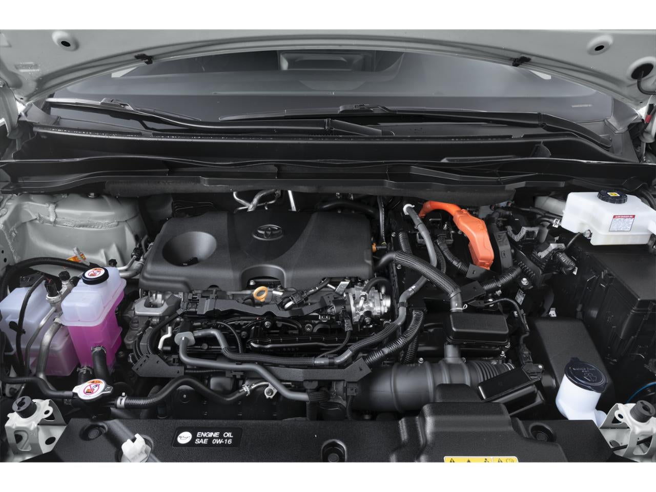 2025 Toyota Sienna Woodland Edition AWD 7-Passenger (Natl)