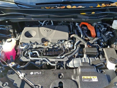 2023 Toyota Sienna XLE AWD 7-Passenger (Natl)