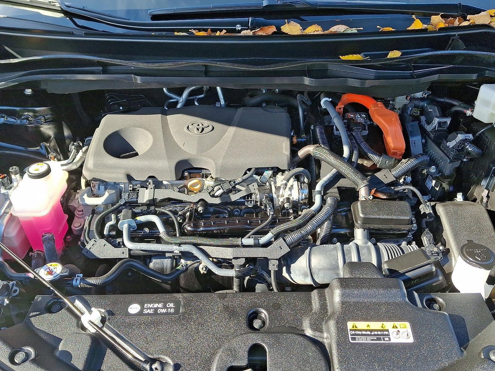 2023 Toyota Sienna XLE AWD 7-Passenger (Natl)