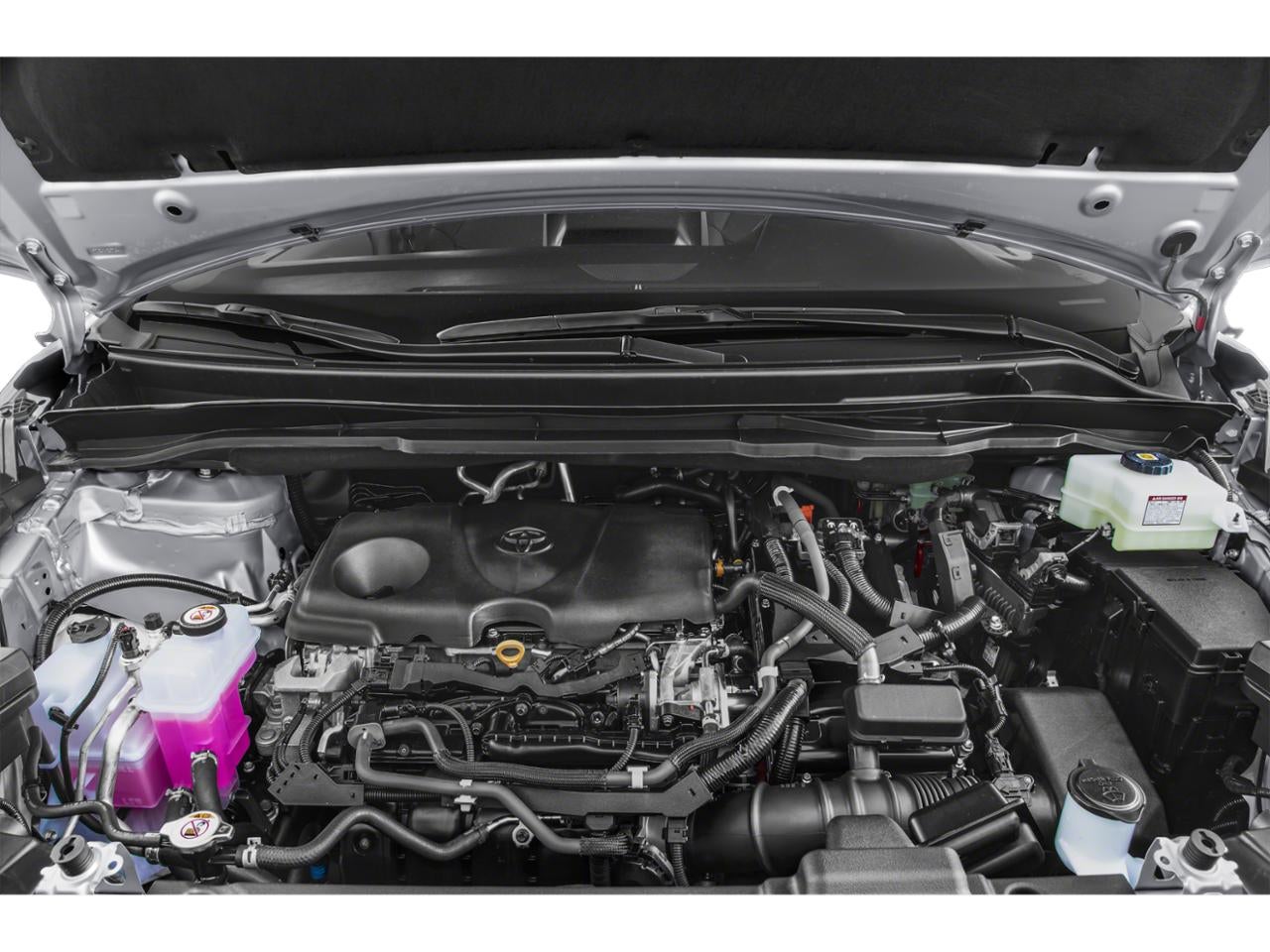 2023 Toyota Sienna XLE AWD 7-Passenger (Natl)