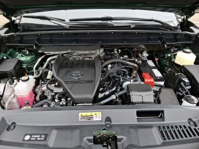 2025 Toyota Highlander XLE AWD (Natl)