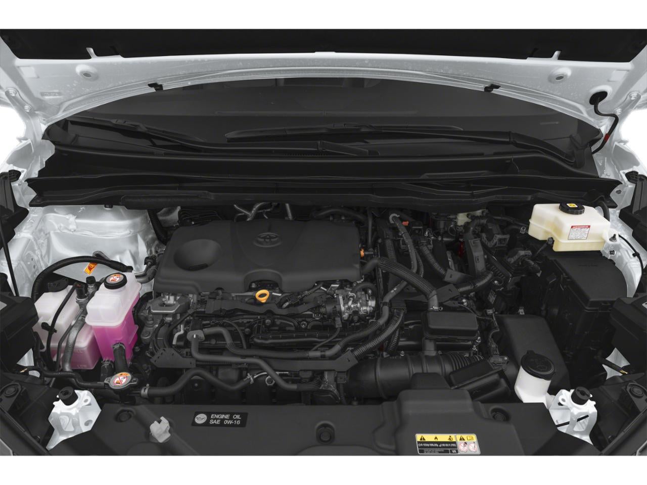 2025 Toyota Sienna XLE FWD 8-Passenger (Natl)