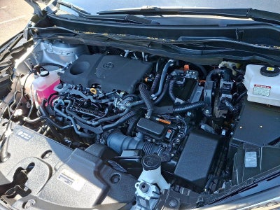 2023 Toyota Sienna XLE FWD 7-Passenger (Natl)