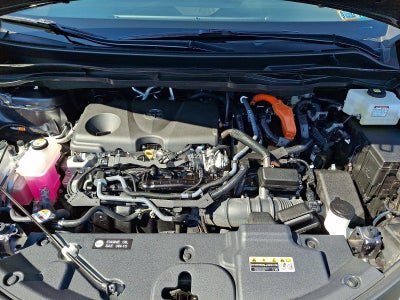 2025 Toyota Sienna XLE AWD 7-Passenger (Natl)