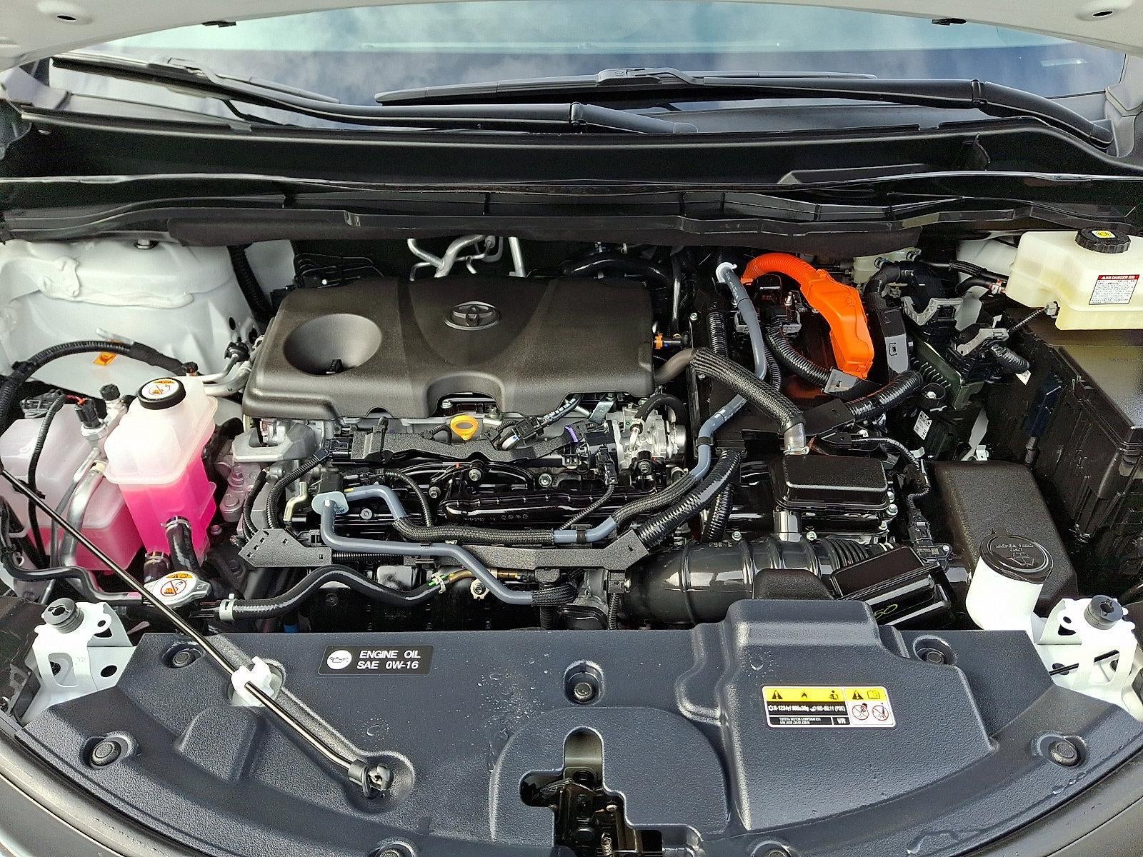 2025 Toyota Sienna XLE AWD 7-Passenger (Natl)