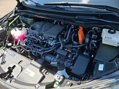 2025 Toyota Sienna XLE AWD 7-Passenger (Natl)