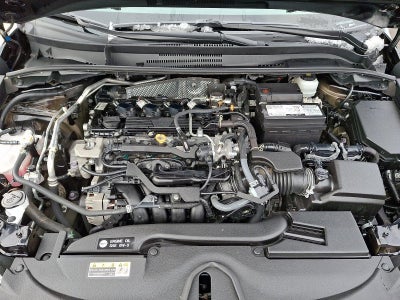 2024 Toyota Corolla LE CVT (Natl)