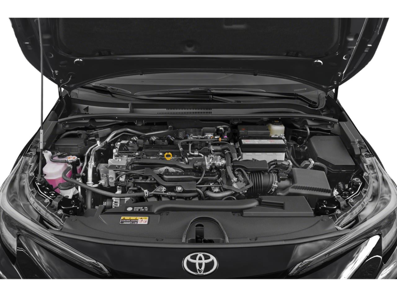 2025 Toyota Corolla XSE CVT (Natl)