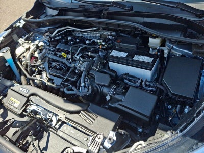 2024 Toyota Corolla Cross XLE 4WD (Natl)