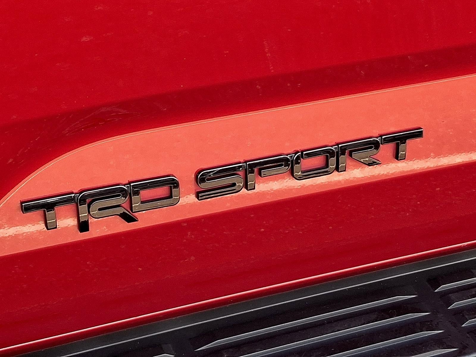 2023 Toyota Sequoia SR5 4WD (Natl)