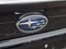 2021 Subaru WRX Manual