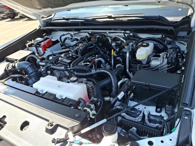 2025 Toyota 4Runner Limited 4WD (Natl)