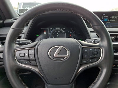 2021 Lexus UX 250h AWD