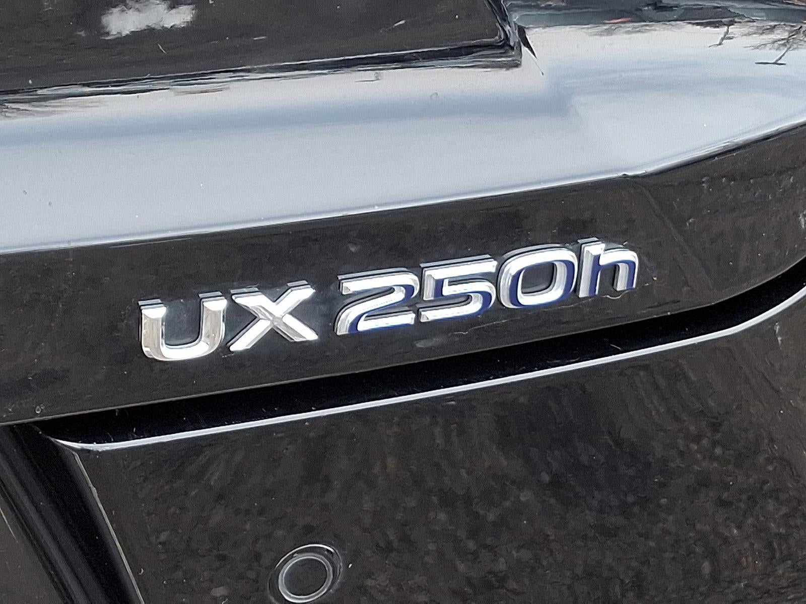 2021 Lexus UX 250h AWD