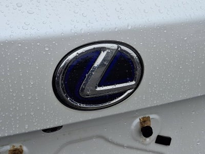 2019 Lexus NX 300h AWD