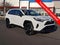 2025 Toyota RAV4 Hybrid LE AWD (Natl)