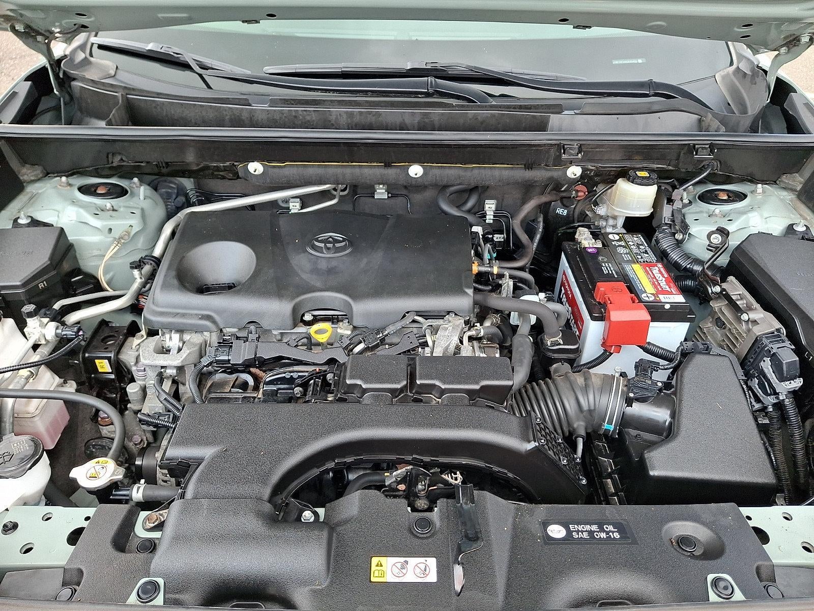 2019 Toyota RAV4 XLE AWD (Natl)