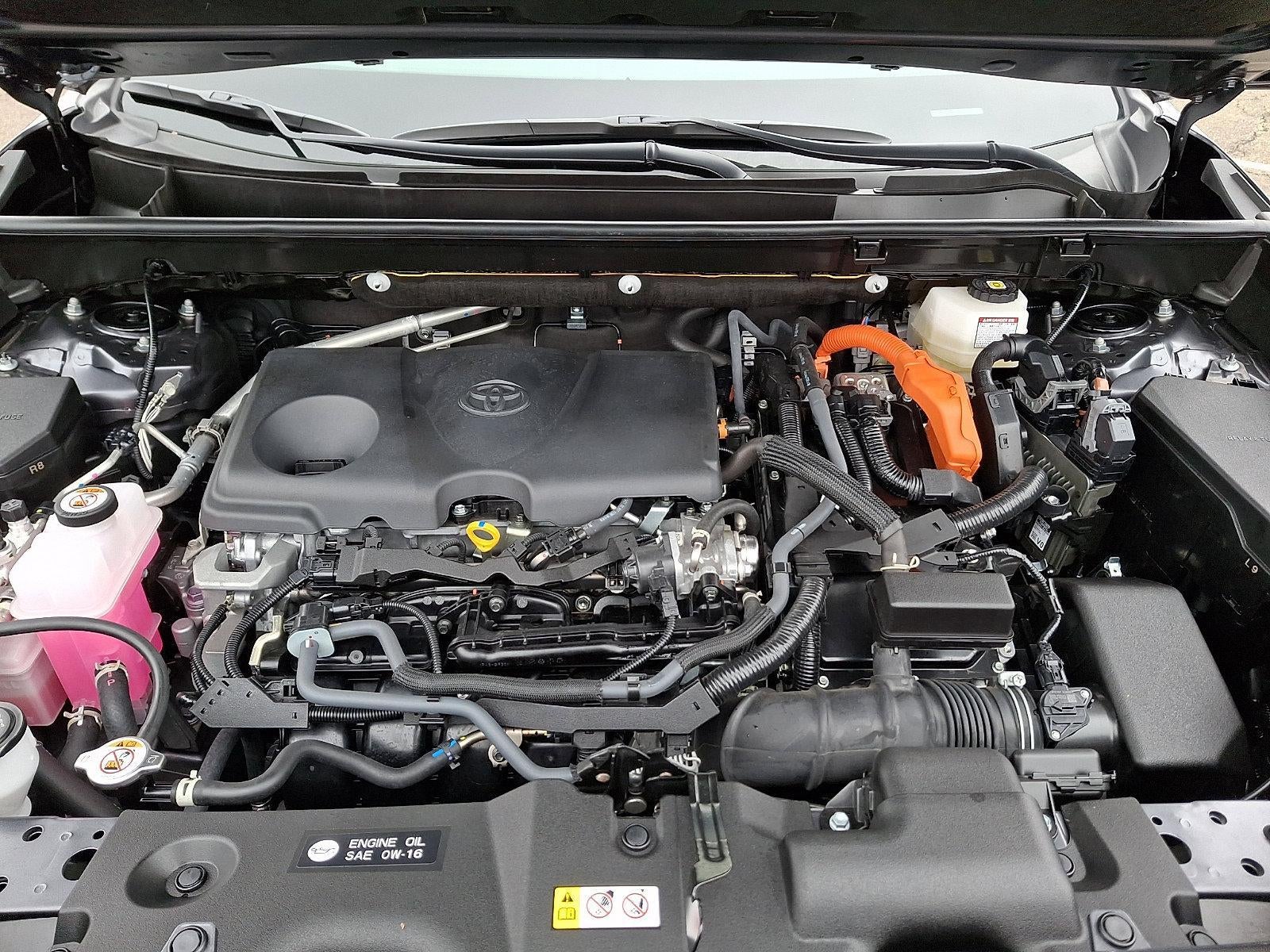 2025 Toyota RAV4 Hybrid XLE AWD (Natl)